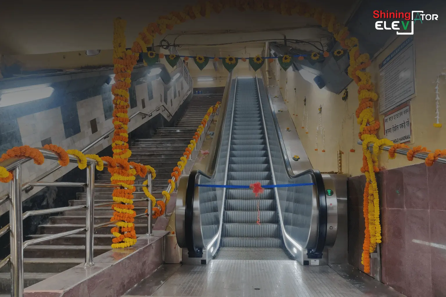 Escalator Portfolio work (5)