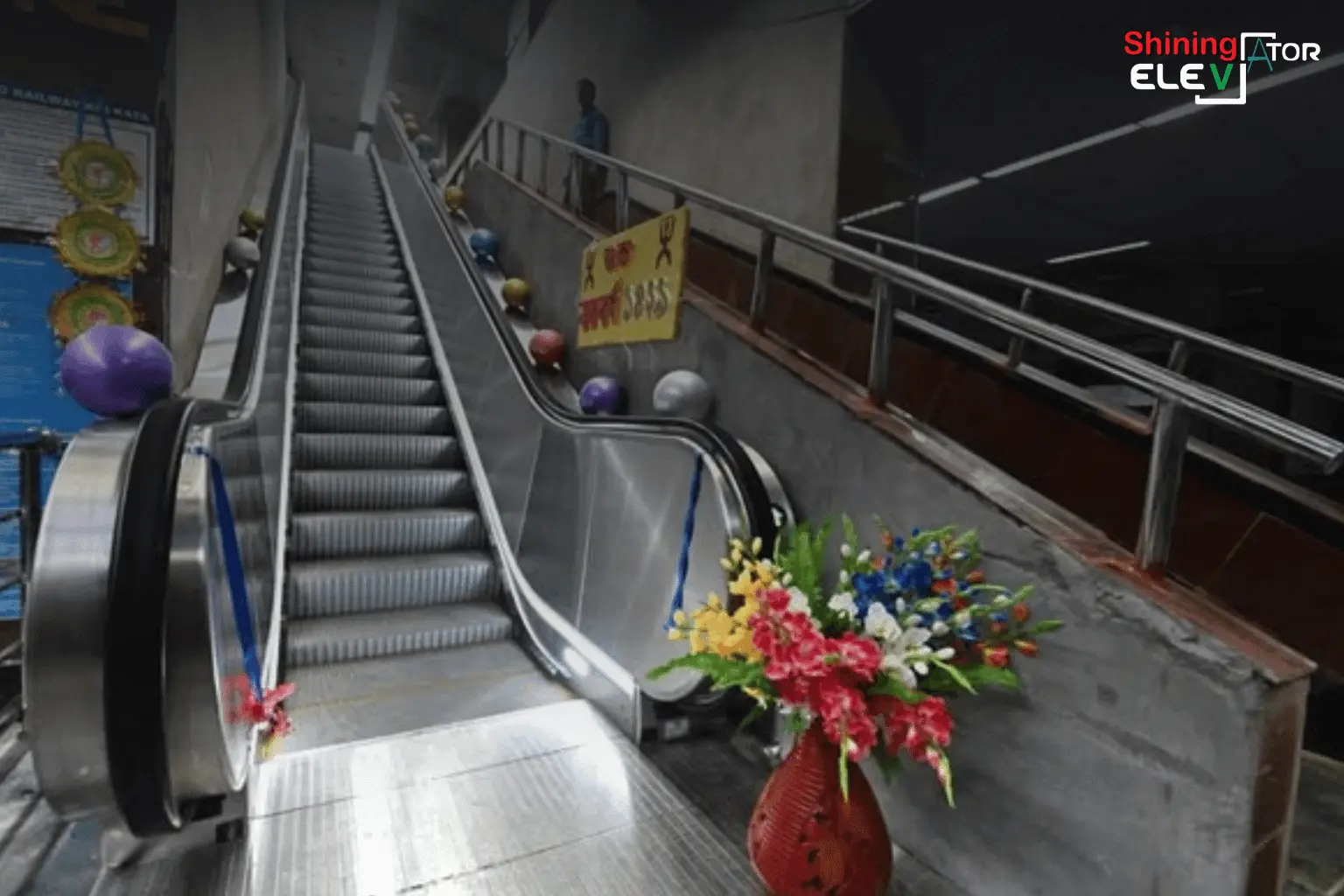 Escalator Portfolio work (6)